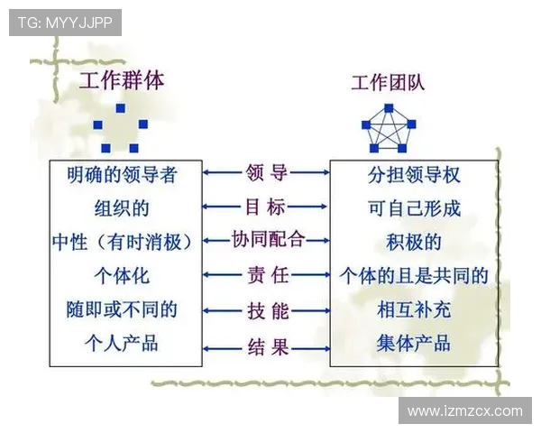 排球训练心得与技巧总结：提高技术水平与团队配合的实用经验分享